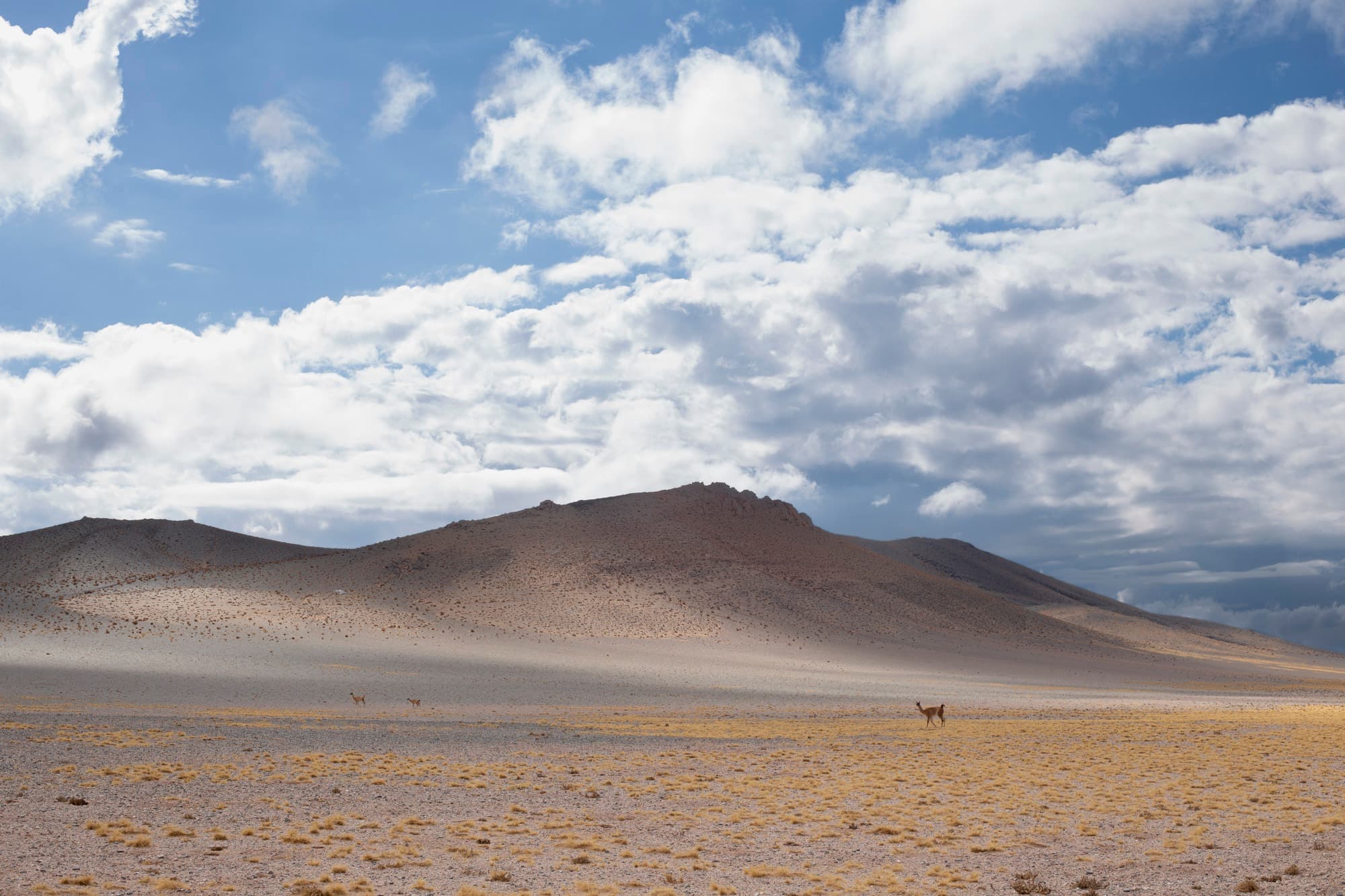 Iglesia en la mirada nacional: naturaleza, aventura e iniciativa privada