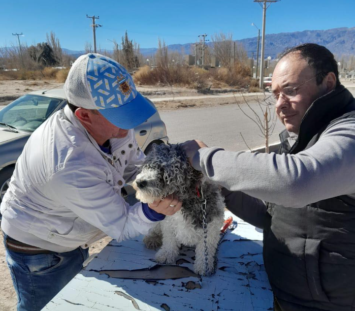 Campaña de Tenencia Responsable de Mascotas 